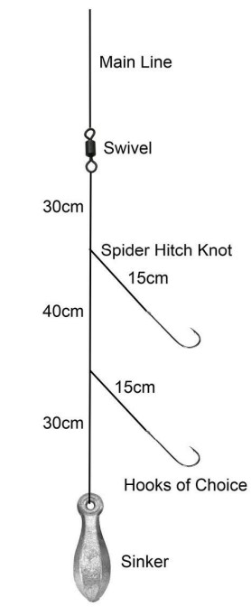 SURECATCH 3 HOOK MATCH RIG - Professional rigs tied up for your